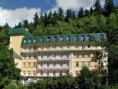 LÁZEŇSKÝ HOTEL VLTAVA - BEROUNKA ***